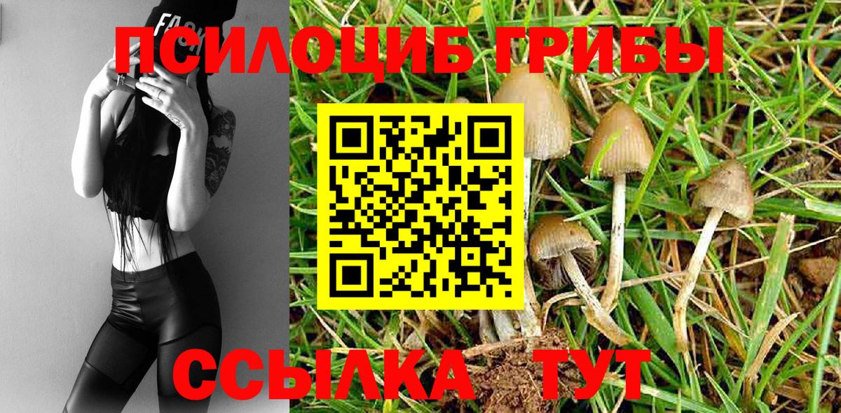 Галлюциногенные грибы мицелий Пенза