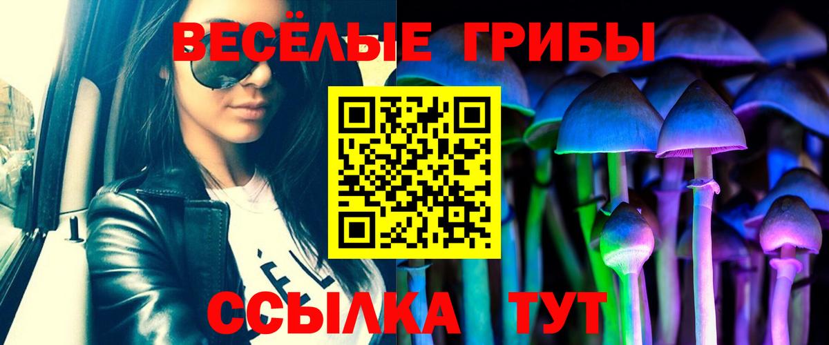 Пенза  Галлюциногенные грибы Psilocybe  Вход с VPN 